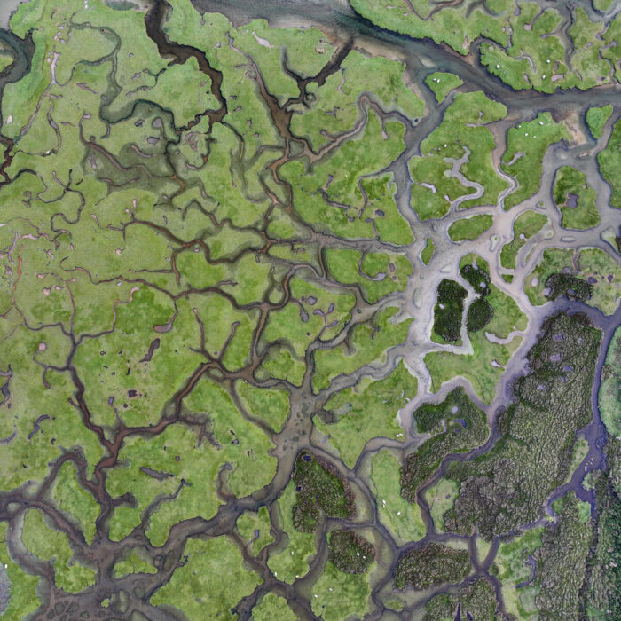 Mulranny Salt Marsh © Big Style Media - Fáilte Ireland