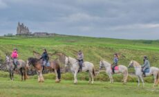 Des chevaux du Classiebewn equestriennes - © Tim H Murphy Photography
