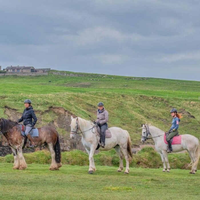 Des chevaux du Classiebewn equestriennes - © Tim H Murphy Photography