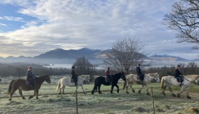 Des chevaux du Killarney Riding Stables - Letitia Wade - ©Failte Ireland 