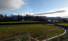 Arbutus Lodge