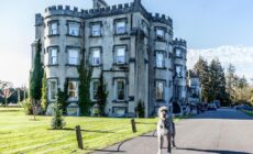 Ballyseede Castle