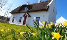 Donegal Thatched Cottage