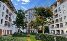 Entire Apartment in Heart of Dublin