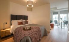 Large Luxurious Studio in Dublin 18