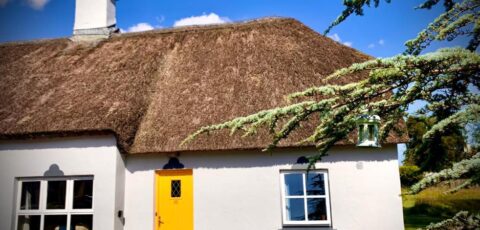Old Killarney