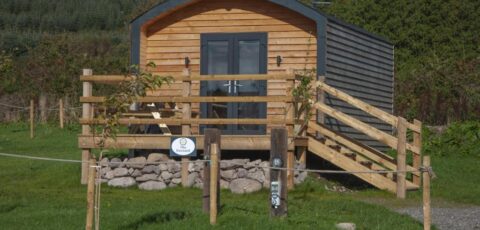 The Buzzard 6 Person Family Glamping Cabin