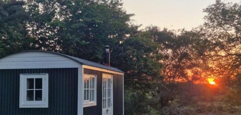 The Hazel Hut