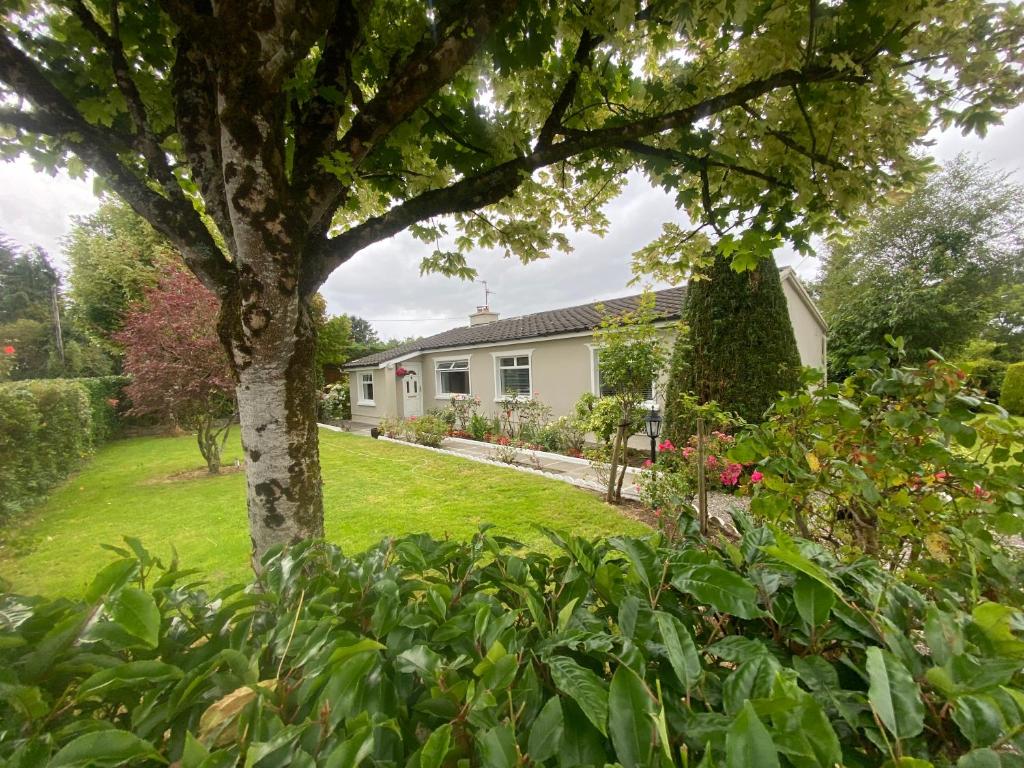 Tranquil Haven Home