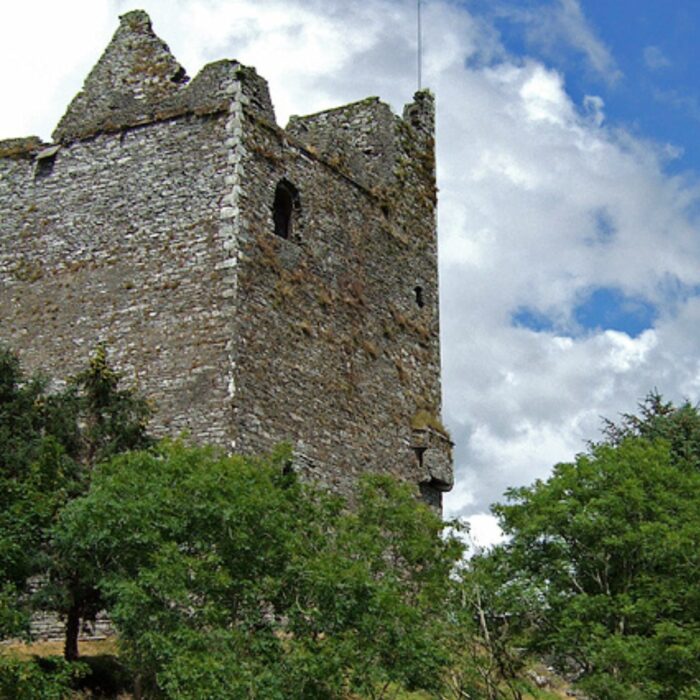 Ballinacarriga Castle - Mike Searle - cc