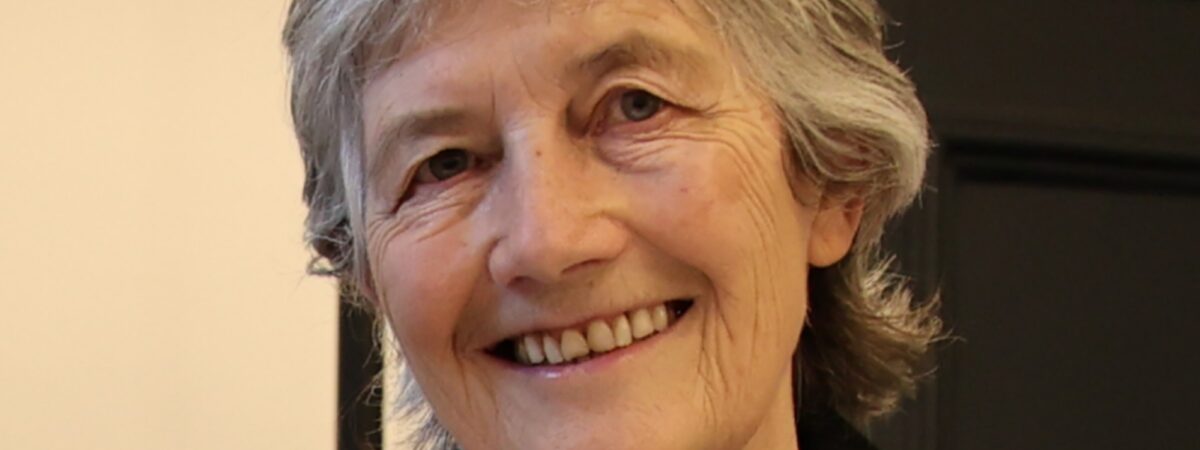 Catherine Connolly, nouvelle présidente de la République d'Irlande - Houses of the Oireachtas