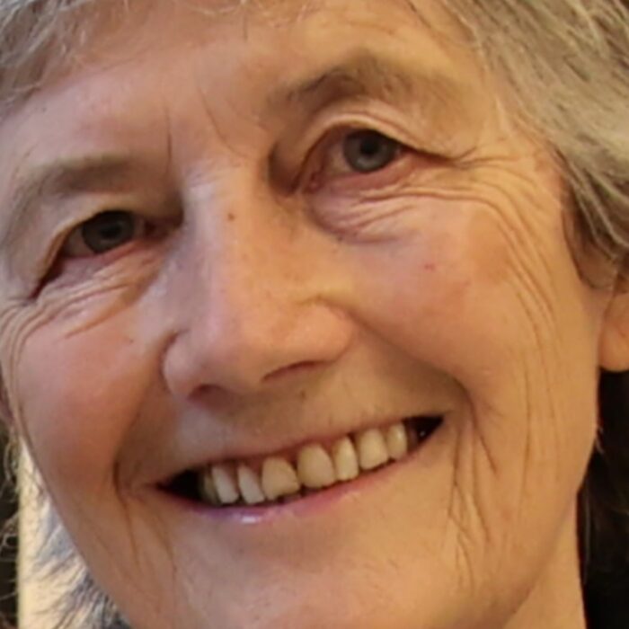 Catherine Connolly, nouvelle présidente de la République d'Irlande - Houses of the Oireachtas