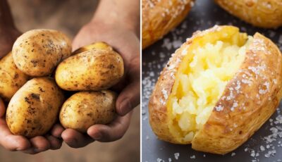Irish potatoes - Canva Pro
