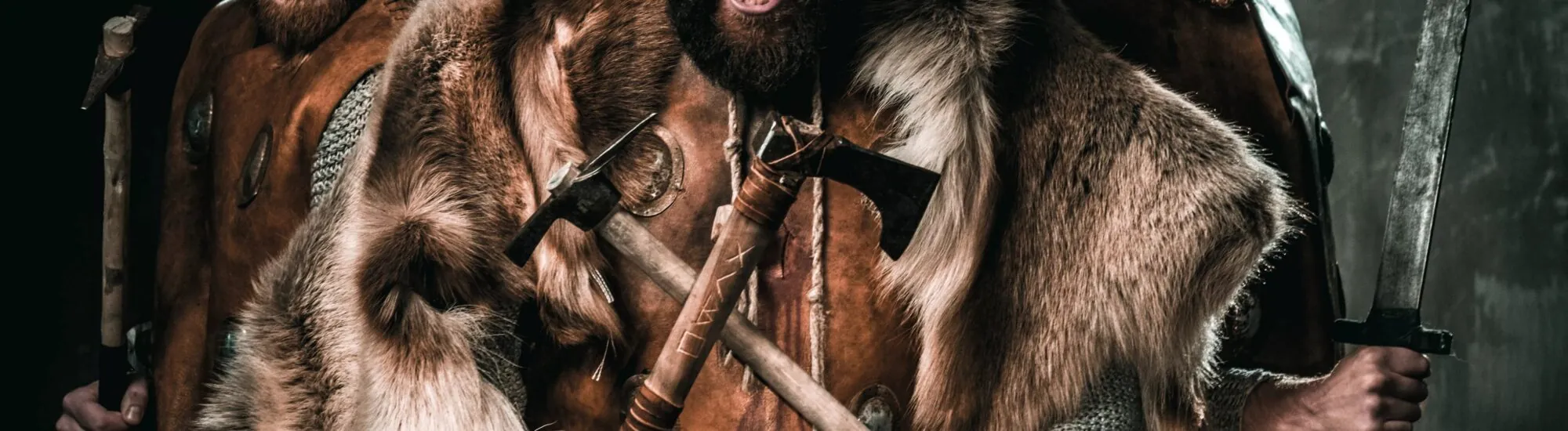 Les Invasions Vikings en Irlande