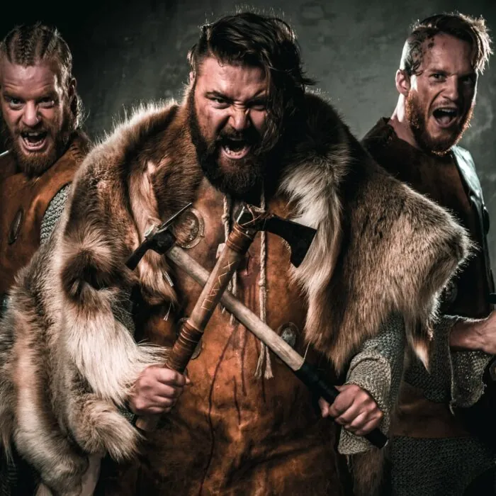 Des Vikings - © Nejron