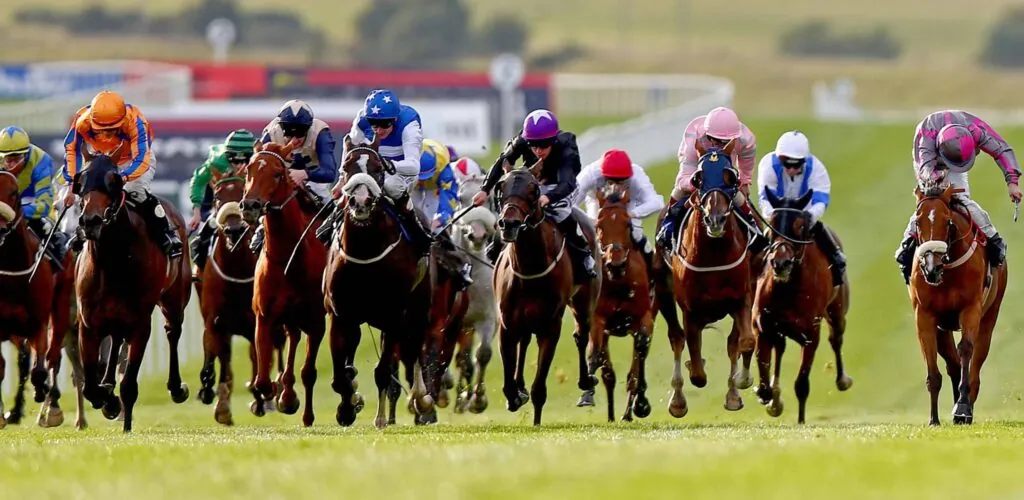 curragh horse