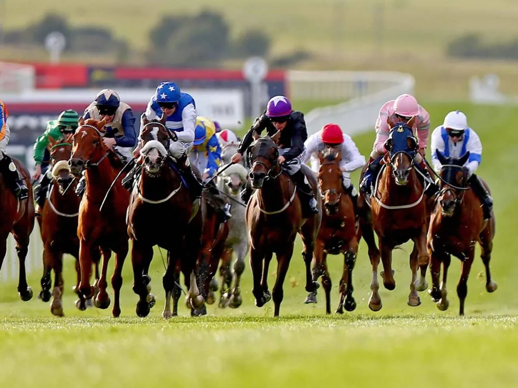 Le Curragh Horse - ©INPHO/Donall Farmer