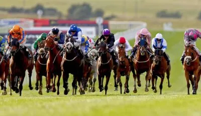 Le Curragh Horse - ©INPHO/Donall Farmer