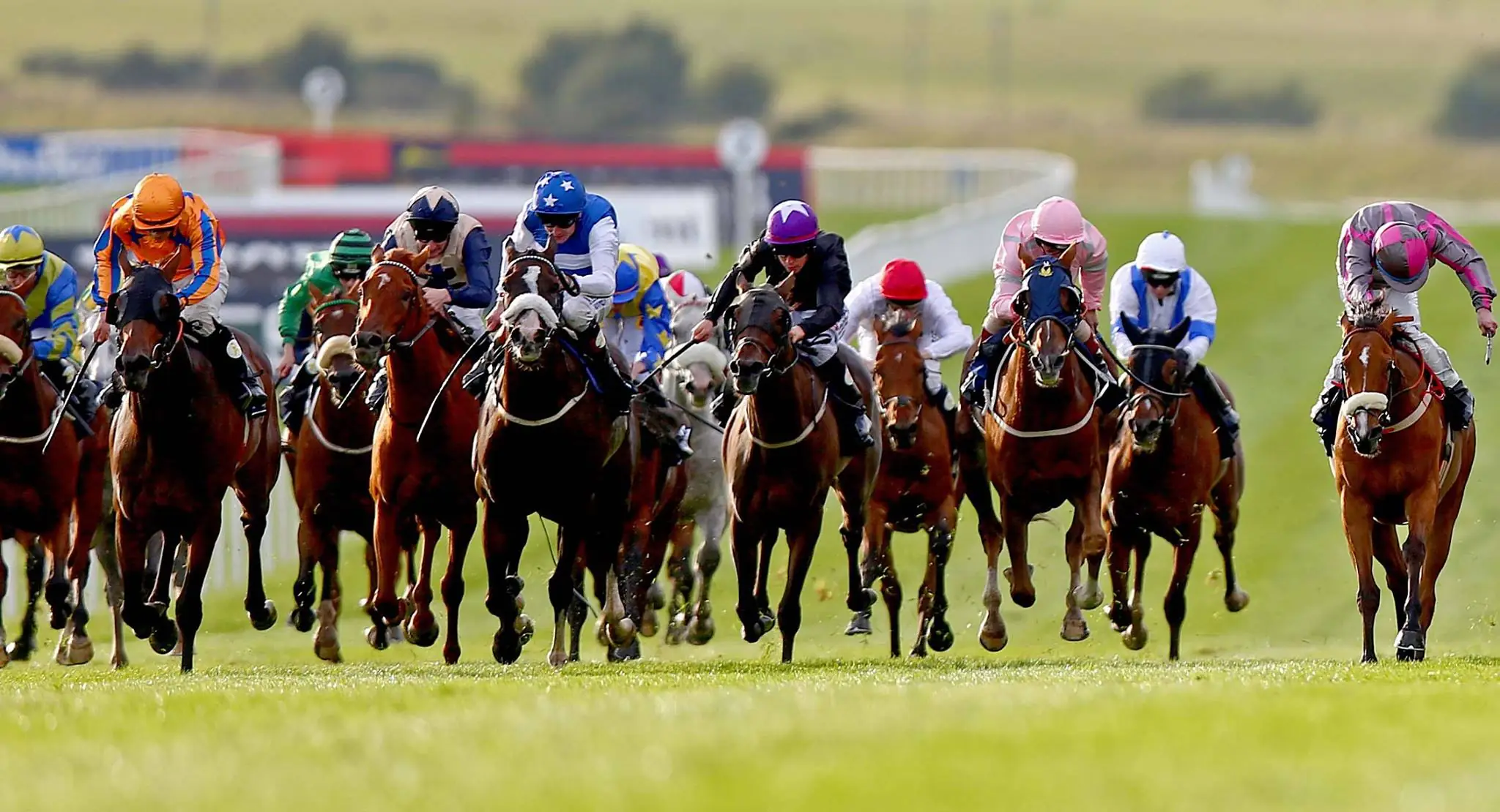 Le Curragh Horse - ©INPHO/Donall Farmer
