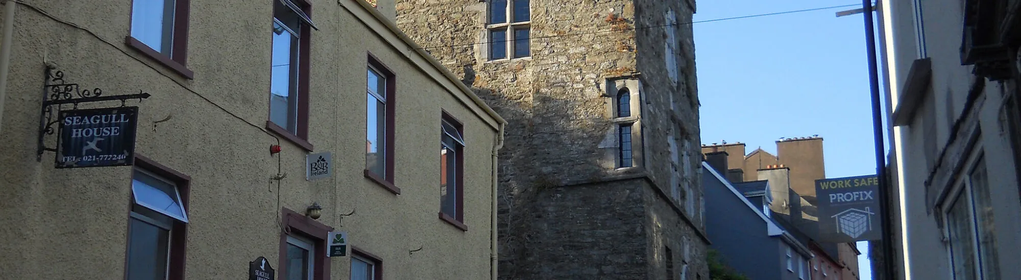 Le Desmond Castle