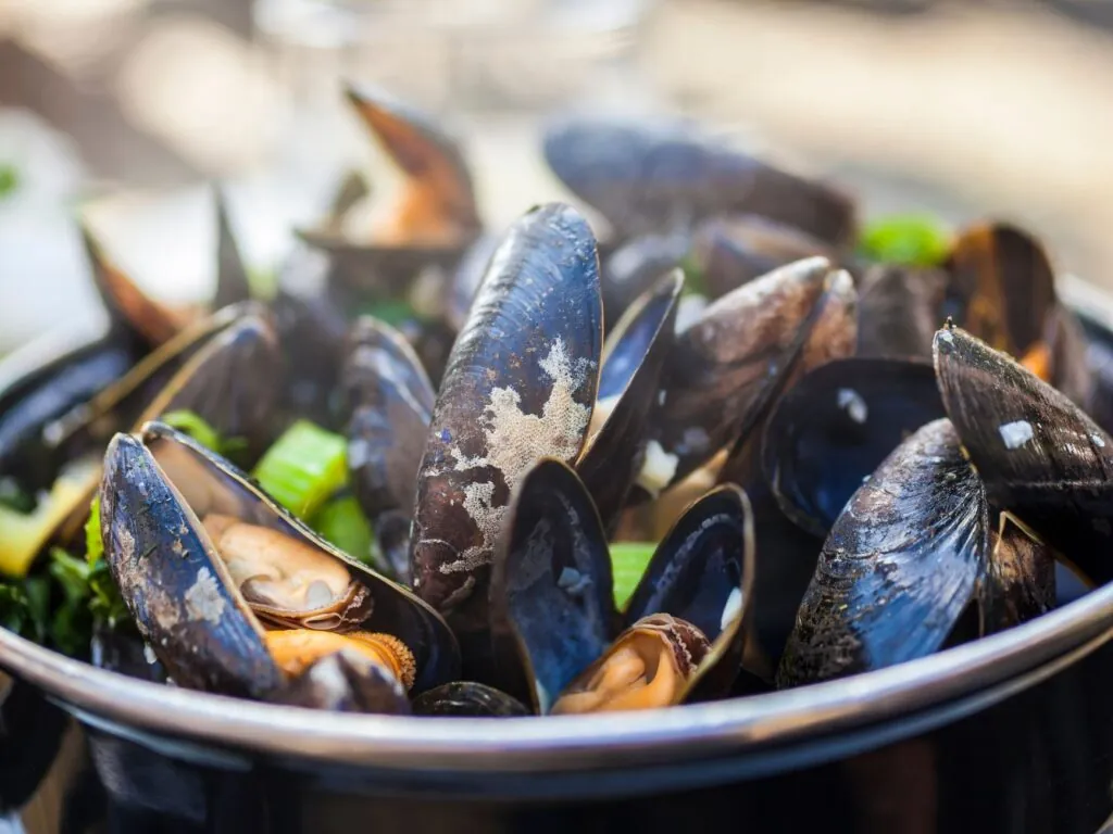 irish mussels