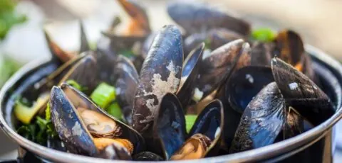 irish mussels
