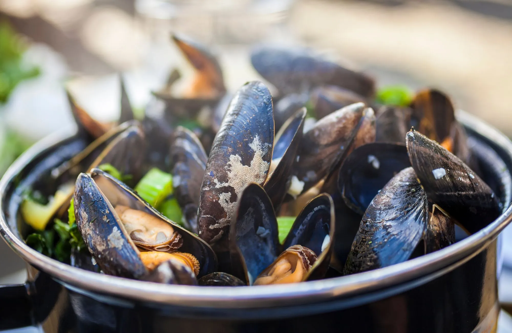 La moule irlandaise