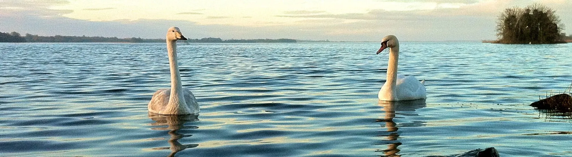 Le Lough Ennell