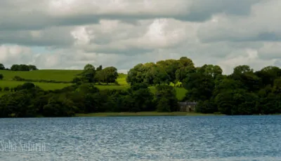 Le Lough Lene - Seba Sofariu - cc