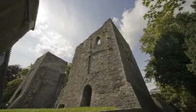 Le Maynooth castle - William Murphy - cc