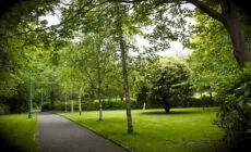 Merrion Square - Neil Turner - cc