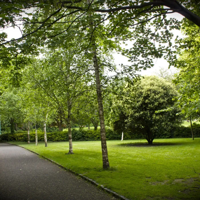 Merrion Square - Neil Turner - cc