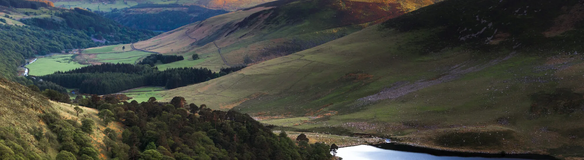 Les Wicklow Mountains
