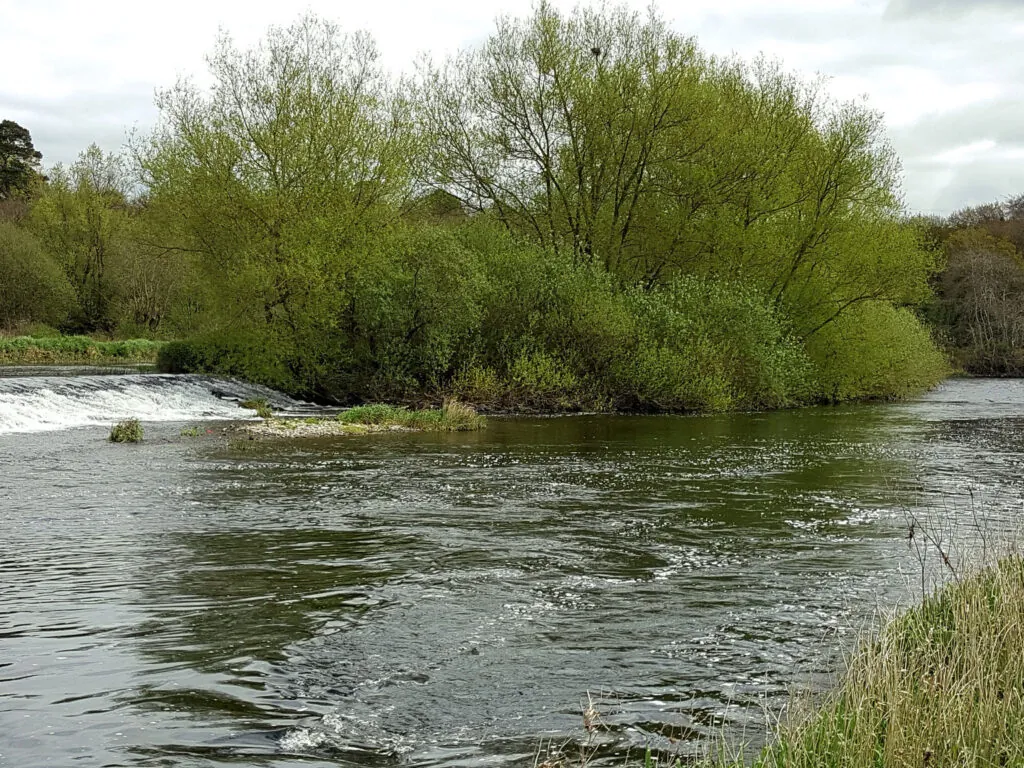 La rivière Barrow - Liam Lysaght - cc