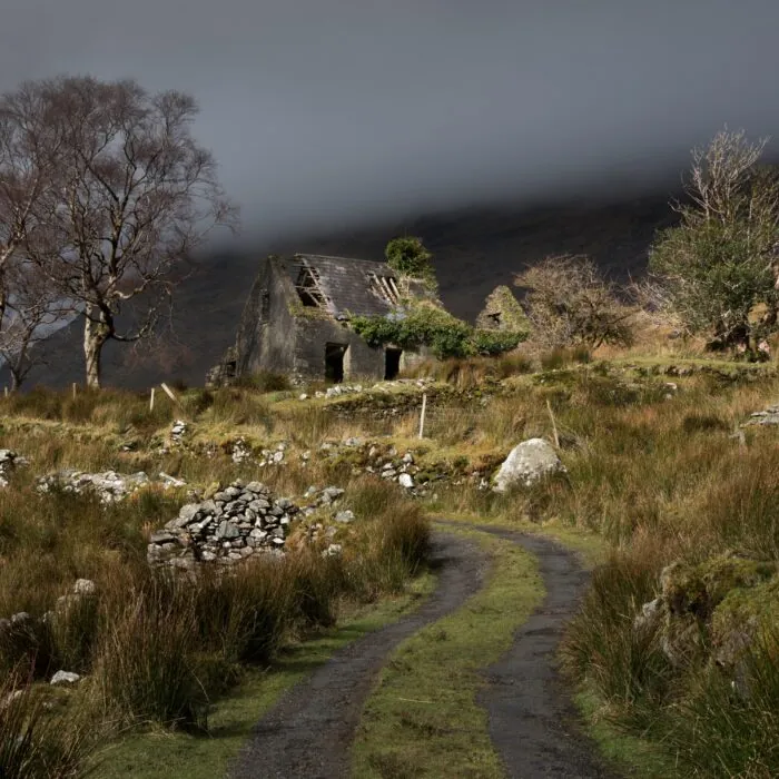 La Black Valley - © dajh51