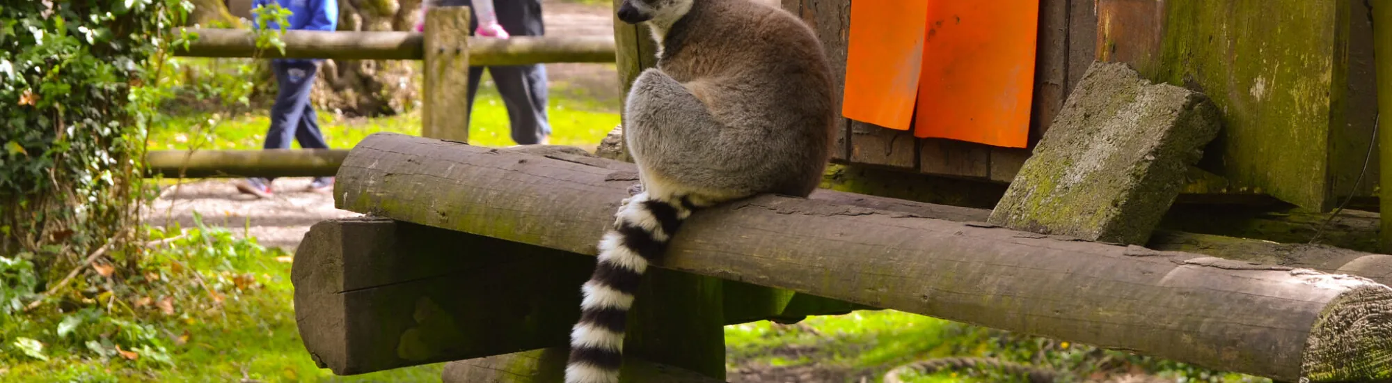 Le Fota Wildlife Park