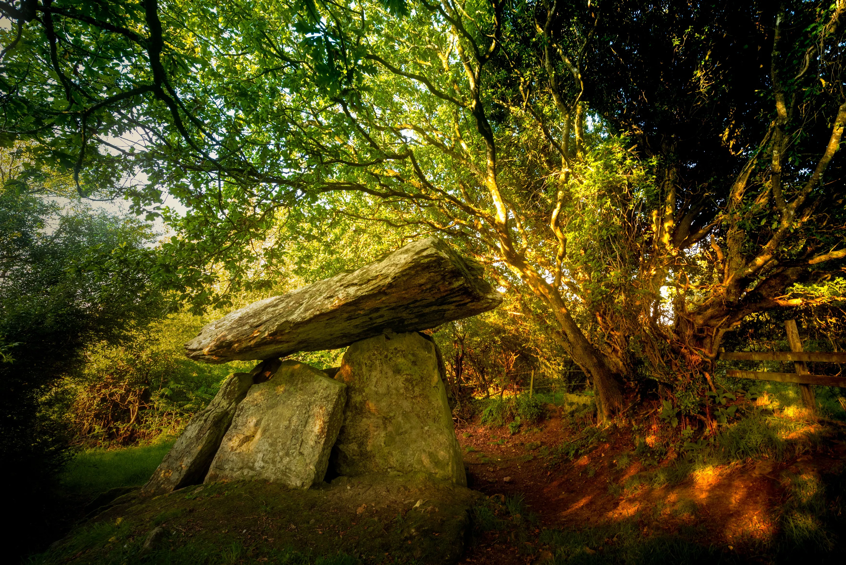 Le dolmen de Gaulstown - © Yggdrasill