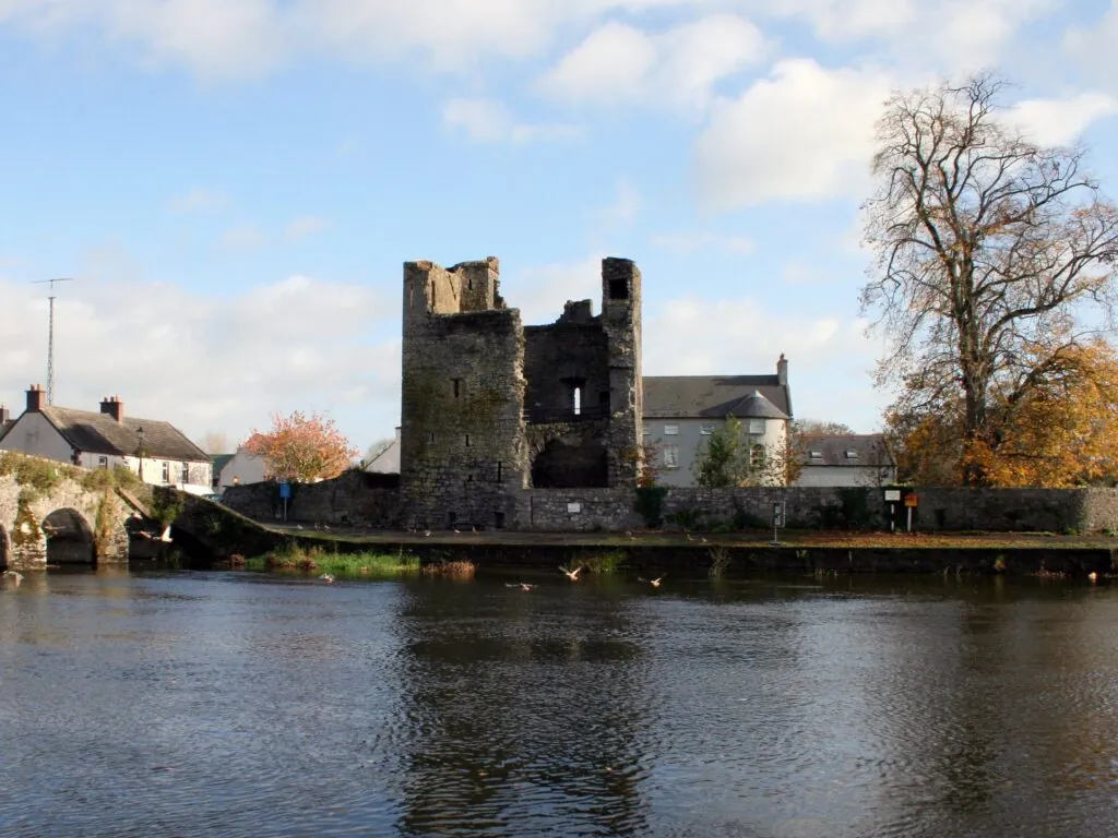 Le Leighlinbridge Castle - Domaine public