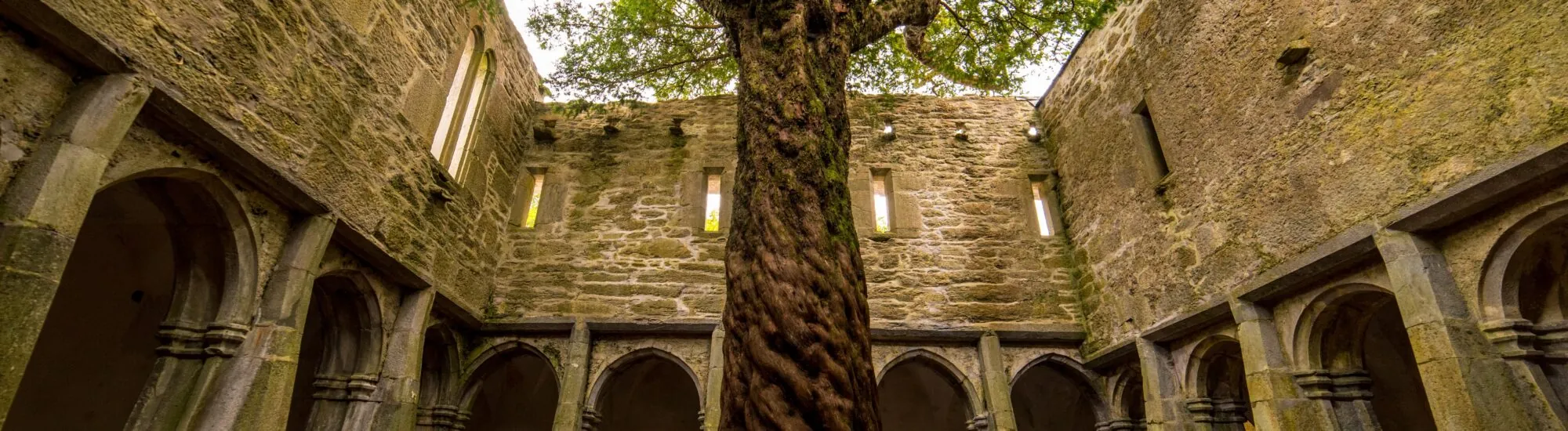 La Muckross Abbey