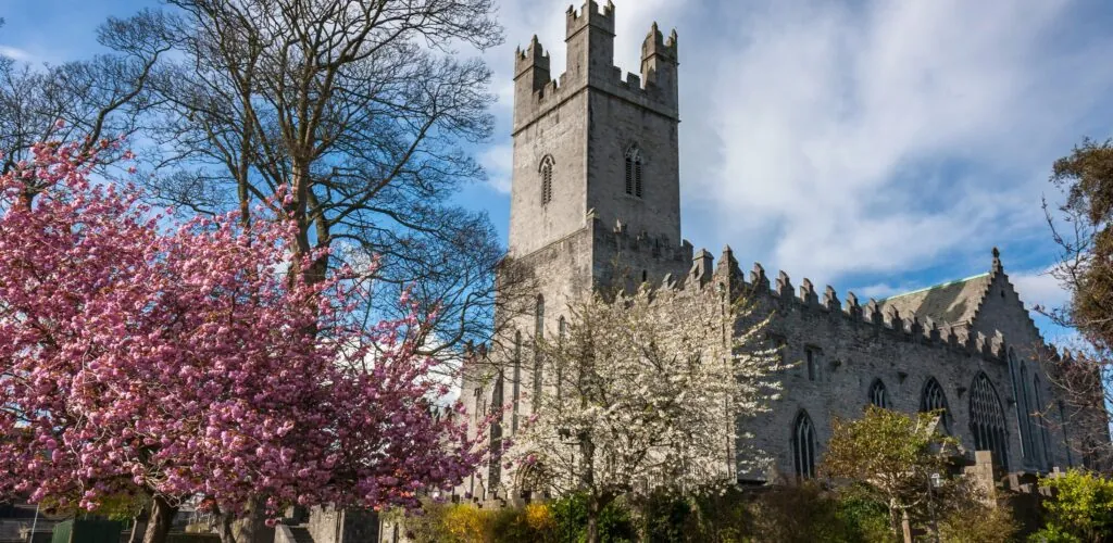 st marys cathedral