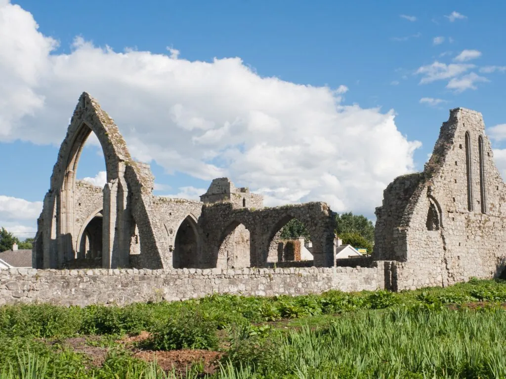 La Castledermot Abbey - Andreas F. Borchert - cc