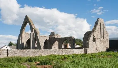 La Castledermot Abbey - Andreas F. Borchert - cc