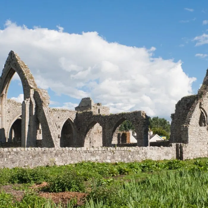 La Castledermot Abbey - Andreas F. Borchert - cc