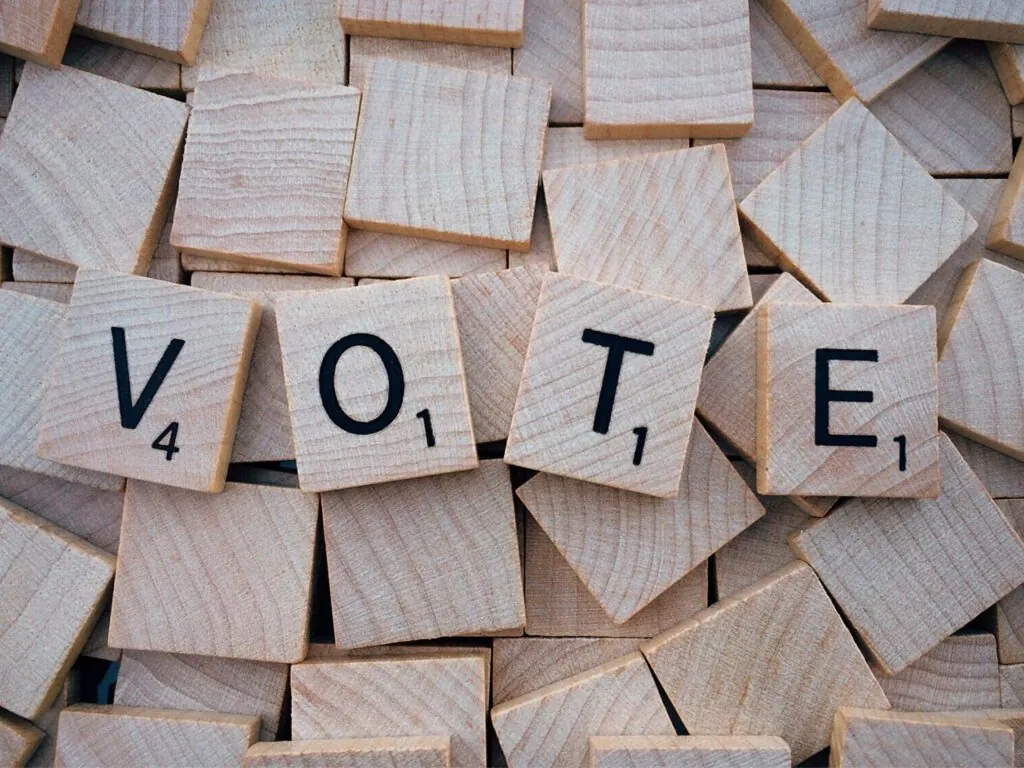 Vote - Domaine public
