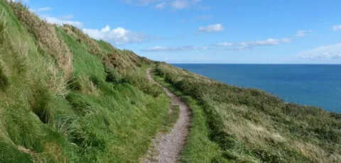 ballycotton cliff walk 1