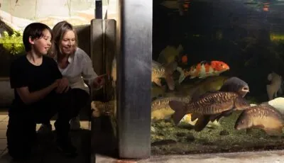 Galway Atlantaquaria - https://nationalaquarium.ie/