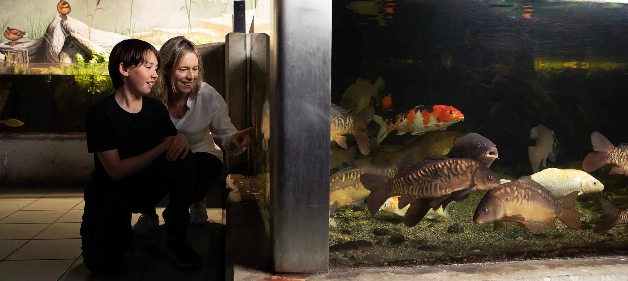 Galway Atlantaquaria - https://nationalaquarium.ie/