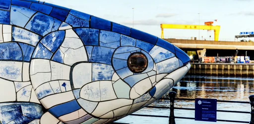 big fish belfast 1