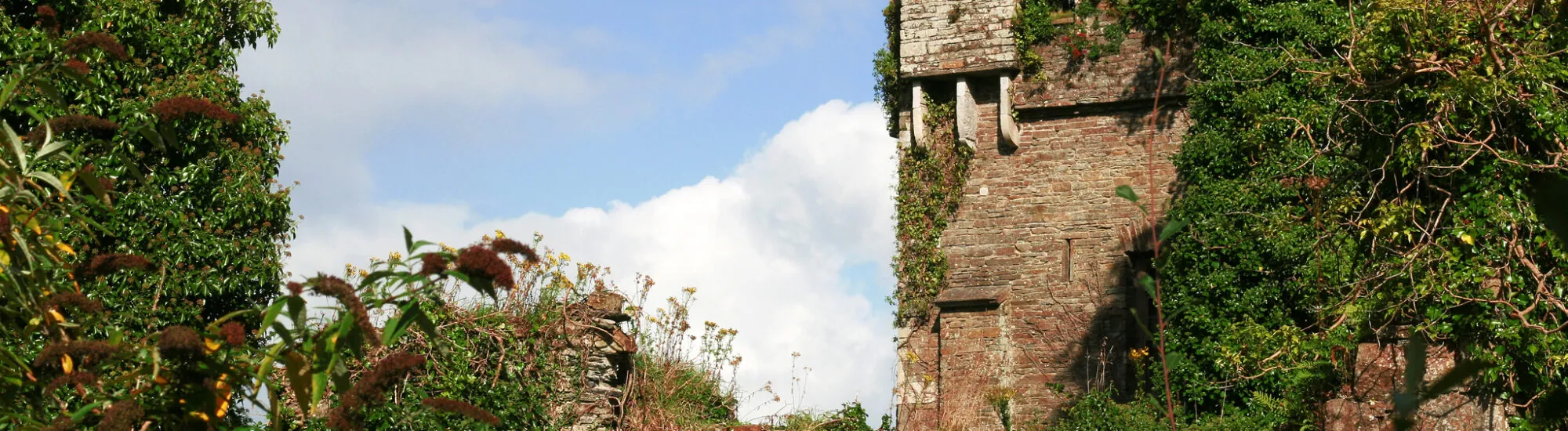 Le Castle Bernard
