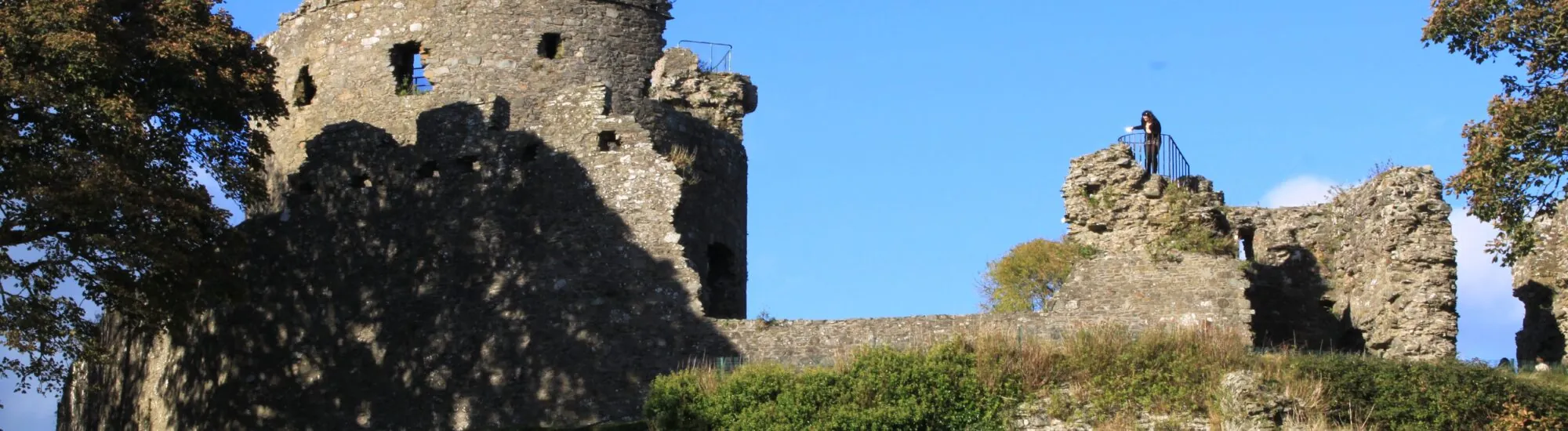 Le Dundrum Castle